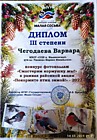 Малая Сосьва - фотоколлаж 2022 г